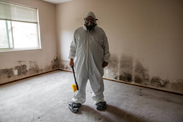 Mold Remediation for Rental Properties in Eagle, NE